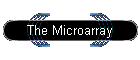 The Microarray