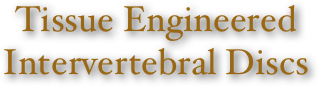 Tissue Engineered Intervertebral Discs