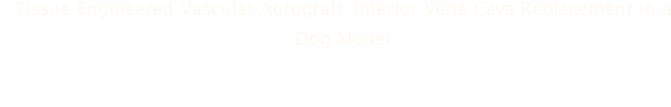 Tissue-Engineered Vascular Autograft: Inferior Vena Cava Replacement in a Dog Model
Manabu Watanabe, Toshiharu Shin’Oka, Satoshi Tohyama, Narutoshi Hibino, Takeshi Konuma, Gohki Matsumura, Yoshimichi Kosaka, Toru Ishida, Yasuharu Imai, Mitsunori Yamakawa, Yoshito Ikada, & Shin’ichiro Morita