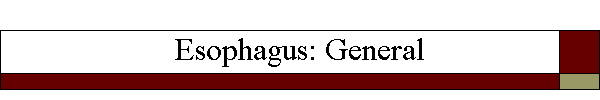 Esophagus: General