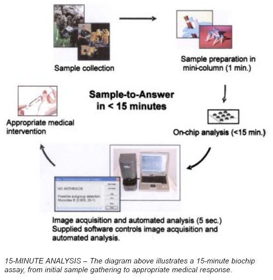 Untitled Document [bme240.eng.uci.edu]