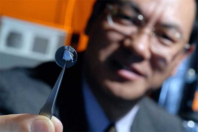 Dr. Zhong Lin Wang holding a nanowire array