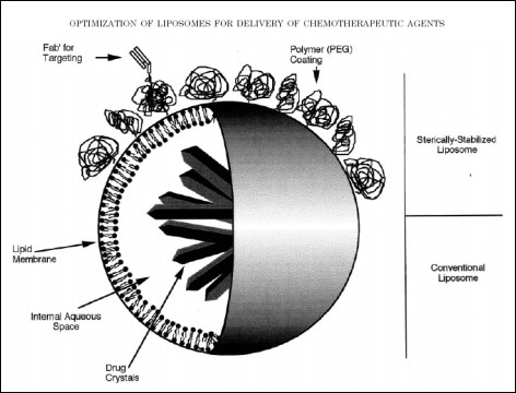 STEALTH LIPOSOMES